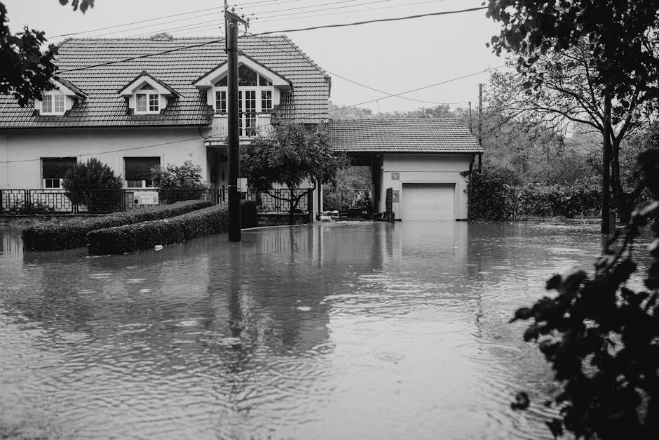 A residential street in Putney during a flood, featuring a two-story house with a tiled roof and multiple dormer windows. The driveway and front yard are submerged under water, extending across the entire street, with reflections visible on the flooded surface. A tall utility pole stands near the centre of the scene, with overhead power lines crossing above. Trees on the right and left edges of the image have leaves that are partially submerged, indicating sustained flooding. The monochrome photo captures the extensive water coverage and the quiet, still atmosphere following heavy rain, highlighting the importance of effective flood cleanup and surface dry-out solutions provided by Putney Carpet Cleaning to restore homes affected by such events.